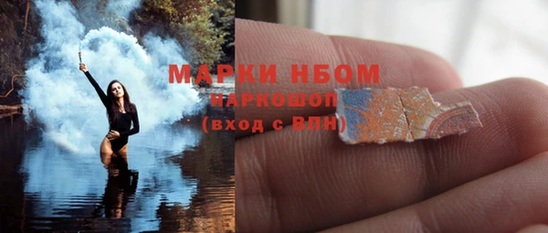бошки Алексин