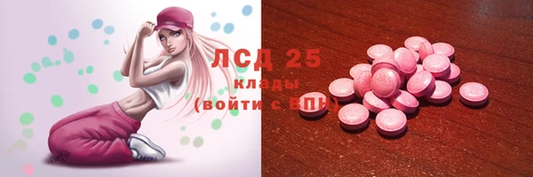PSILOCYBIN Алзамай