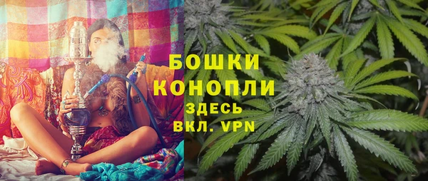 PSILOCYBIN Алзамай
