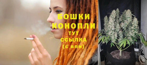 бошки Алексин