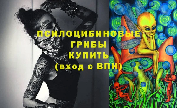 бошки Алексин