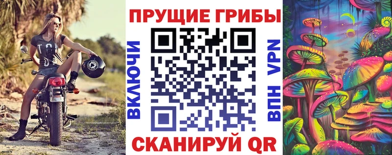 Псилоцибиновые грибы MAGIC MUSHROOMS  Бердск 