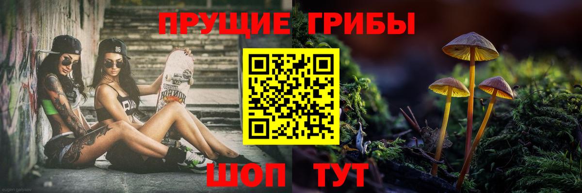 Бердск  Галлюциногенные грибы Psilocybine cubensis  Псилоцибиновые грибы мицелий  дарнет шоп  Вход с VPN 